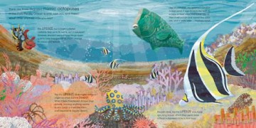 Lifesize Ocean Animals: Ocean creatures at their actual size in this new illustrated non-fiction adventure for children aged 3+ - Sophy Henn [KSIĄŻKA]
