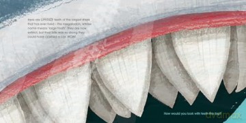 Lifesize Ocean Animals: Ocean creatures at their actual size in this new illustrated non-fiction adventure for children aged 3+ - Sophy Henn [KSIĄŻKA]