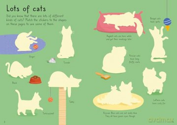 Little First Stickers Cats and Kittens - Caroline Young [KSIĄŻKA]