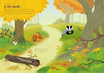 Little First Stickers Nature - Caroline Young [KSIĄŻKA]