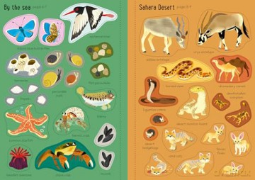 Little First Stickers Nature - Caroline Young [KSIĄŻKA]