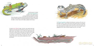 Lizards at Large: 21 Remarkable Reptiles at their Actual Size - Roxie Munro [KSIĄŻKA]