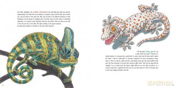 Lizards at Large: 21 Remarkable Reptiles at their Actual Size - Roxie Munro [KSIĄŻKA]