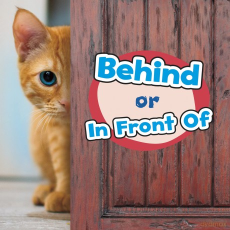 Location Words: Behind or In Front Of - Wiley Blevins [KSIĄŻKA]