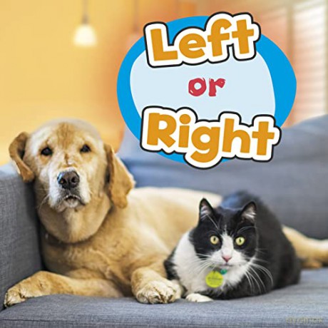 Location Words: Left or Right - Wiley Blevins [KSIĄŻKA]
