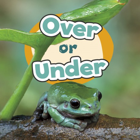 Location Words: Over or Under - Wiley Blevins [KSIĄŻKA]