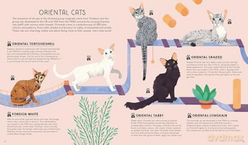 Lonely Planet Kids Atlas of Cats - Frances Evans [KSIĄŻKA]