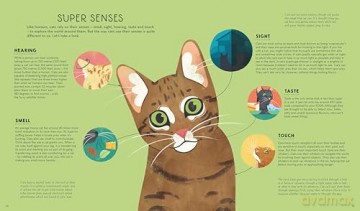 Lonely Planet Kids Atlas of Cats - Frances Evans [KSIĄŻKA]