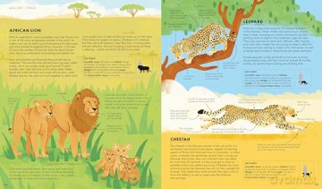 Lonely Planet Kids Atlas of Cats - Frances Evans [KSIĄŻKA]