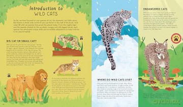 Lonely Planet Kids Atlas of Cats - Frances Evans [KSIĄŻKA]
