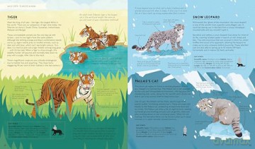 Lonely Planet Kids Atlas of Cats - Frances Evans [KSIĄŻKA]