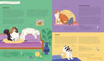 Lonely Planet Kids Atlas of Cats - Frances Evans [KSIĄŻKA]