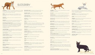 Lonely Planet Kids Atlas of Cats - Frances Evans [KSIĄŻKA]