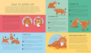 Lonely Planet Kids Atlas of Cats - Frances Evans [KSIĄŻKA]