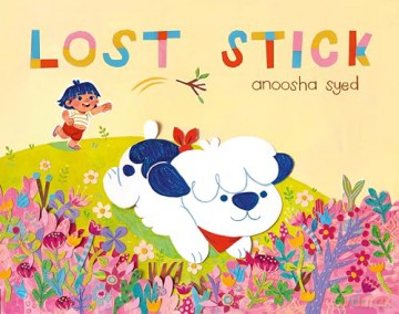 Lost Stick - Anoosha Syed [KSIĄŻKA]