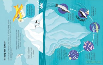 Lots of Things to Know About Seas and Oceans - Emily Bone [KSIĄŻKA]