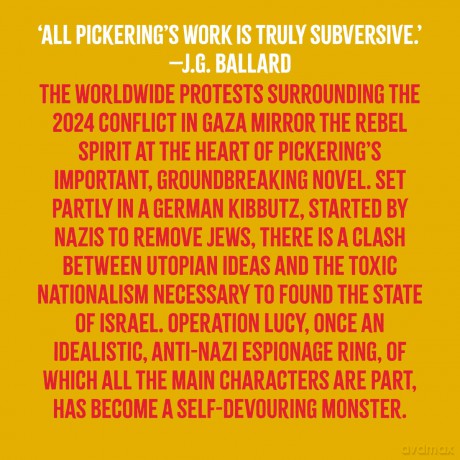 Lucy: Pickering's new novel is a sensationally readable tale of intrigue, sex, horrific killings, and sacrifice (Salt Modern Fiction) - Paul Pickering [KSIĄŻKA]