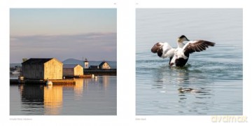 Maine: A Keepsake: 18 - Jr, Antelo Devereux [KSIĄŻKA]