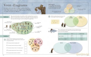 Mammoth Maths Workbook: Practise Your Maths Skills with a Little Help from Some Mammoths (DK David Macauley How Things Work) - Dk [KSIĄŻKA]