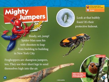 Marvel's Spider-Man Bugs Out (Level 1 Reader) (National Geographic Readers) - Daka Hermon [KSIĄŻKA]