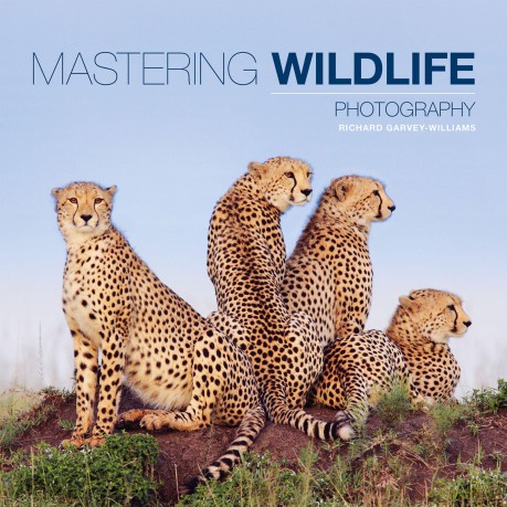 Mastering Wildlife Photography - R Garvey-Williams [KSIĄŻKA]