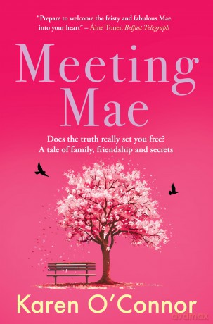 Meeting Mae - K O'connor [KSIĄŻKA]