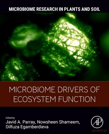 Microbiome Drivers of Ecosystem Function (Microbiome Research in Plants and Soil) - Javid A. Parray [KSIĄŻKA]