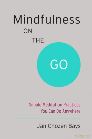 Mindfulness on the Go: Simple Meditation Practices You Can Do Anywhere (Shambhala Pocket Classics) - Jan Chozen Bays [KSIĄŻKA]