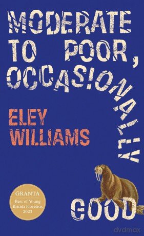 Moderate to Poor, Occasionally Good: The dazzling new short story collection from the Granta Best Young British Novelist - Eley Williams [KSIĄŻKA]