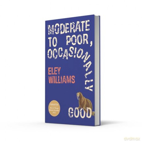 Moderate to Poor, Occasionally Good: The dazzling new short story collection from the Granta Best Young British Novelist - Eley Williams [KSIĄŻKA]