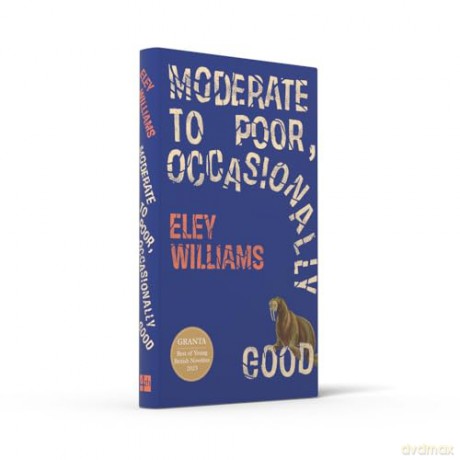 Moderate to Poor, Occasionally Good: The dazzling new short story collection from the Granta Best Young British Novelist - Eley Williams [KSIĄŻKA]