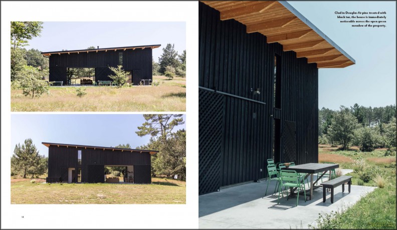 Modern Houses in Black - Susan Redman [KSIĄŻKA]