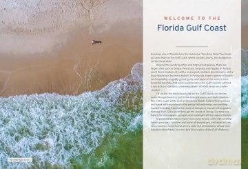 Moon Florida Gulf Coast (Eighth Edition): Best Beaches, Wildlife, Everglades Adventures (Moon U.S. Travel Guide) - Joshua Lawre Kinser [KSIĄŻKA]