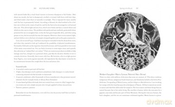 Motherland Herbal: The Story of African Holistic Health - Bird Stephanie [KSIĄŻKA]