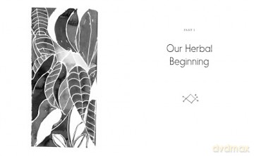 Motherland Herbal: The Story of African Holistic Health - Bird Stephanie [KSIĄŻKA]