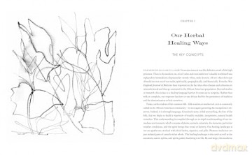 Motherland Herbal: The Story of African Holistic Health - Bird Stephanie [KSIĄŻKA]