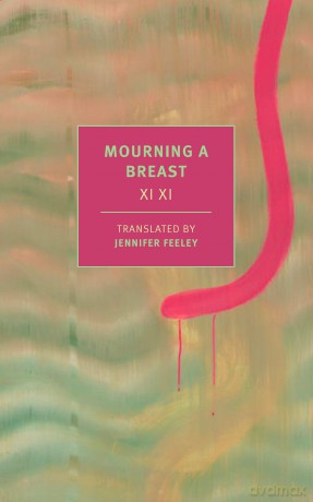Mourning a Breast (New York Review Classics) - Xi Xi [KSIĄŻKA]