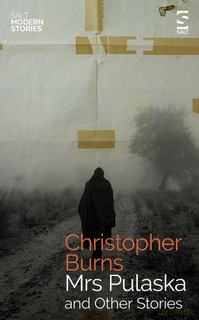 Mrs Pulaska and Other Stories: A masterly collection of short stories from one of Britain's most celebrated authors (Salt Modern Stories) - Christopher Burns [KSIĄŻKA]