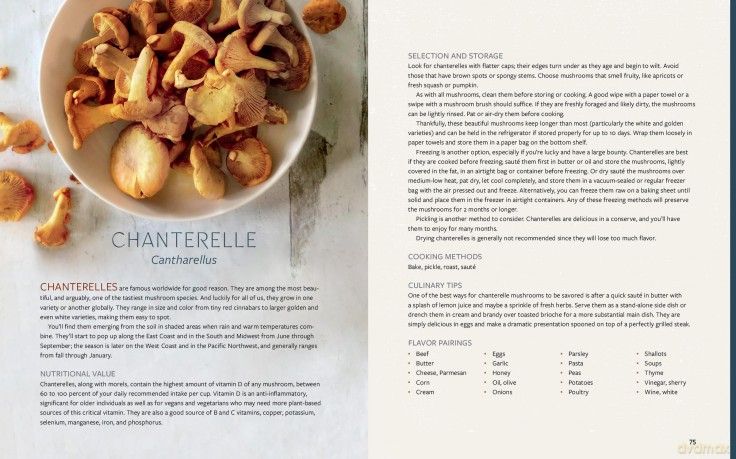Mushroom Gastronomy: The Art of Cooking with Mushrooms - Krista Towns [KSIĄŻKA]