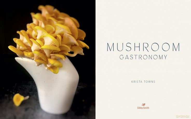 Mushroom Gastronomy: The Art of Cooking with Mushrooms - Krista Towns [KSIĄŻKA]
