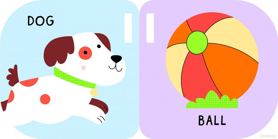 My Buggy Book: First Words - Yoyo Books [KSIĄŻKA]
