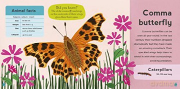 My First Book of Woodland Animals (Zoe Ingram's My First Book of...) - Zoe Ingram [KSIĄŻKA]