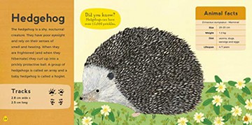 My First Book of Woodland Animals (Zoe Ingram's My First Book of...) - Zoe Ingram [KSIĄŻKA]