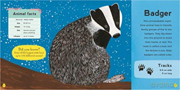 My First Book of Woodland Animals (Zoe Ingram's My First Book of...) - Zoe Ingram [KSIĄŻKA]