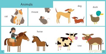 My First English Picture Word Book (Picture Word Books) - Catherine Bruzzone [KSIĄŻKA]