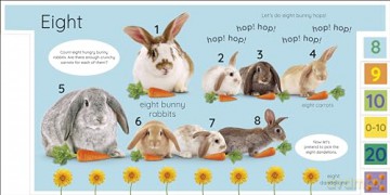My First Numbers: Let's Get Counting!: Let's Get Counting! (My First Tabbed Board Book) - Dk [KSIĄŻKA]