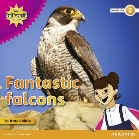 My Gulf World and Me Level 4 non-fiction reader: Fantastic falcons - Riddle Kate [KSIĄŻKA]
