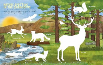 My Scottish Nature Activity Book - Sasha Morton [KSIĄŻKA]