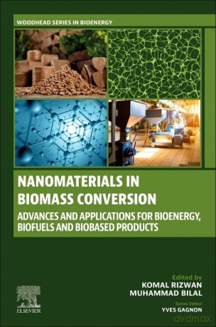 Nanomaterials in Biomass Conversion: Advances and Applications for Bioenergy, Biofuels, and Bio-based Products (Woodhead Series in Bioenergy) - Komal Rizwan [KSIĄŻKA]