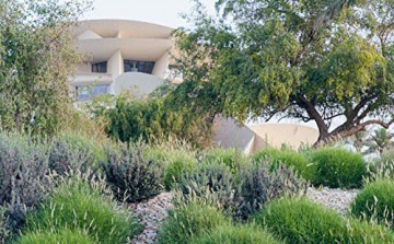 National Museum of Qatar: Jean Nouvel - P Et Al Jodidio [KSIĄŻKA]
